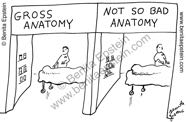 funny medical cartoon patient specialists leeches 1504