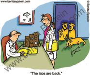 funny doctor cartoon medical lab results lab retriever doctor medical assistant physician office health blood test labrador results positive negative return 1029