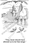funny environment cartoon antarctica south pole free range chickens penguins icebergs 1681
