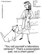 funny medical cartoon dog doctor prescription chem panel lab retriever 1502