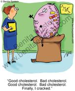 funny powerpoint newsletter nurse cholesterol doctors office exam egg hdl ldl triglycerides humpty dumpty cracked  cartoon 1040